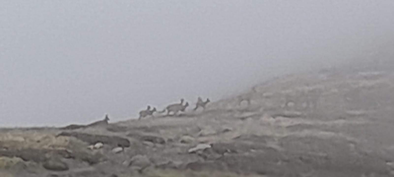 image IMG20221007WA0016.jpg (37.5kB)