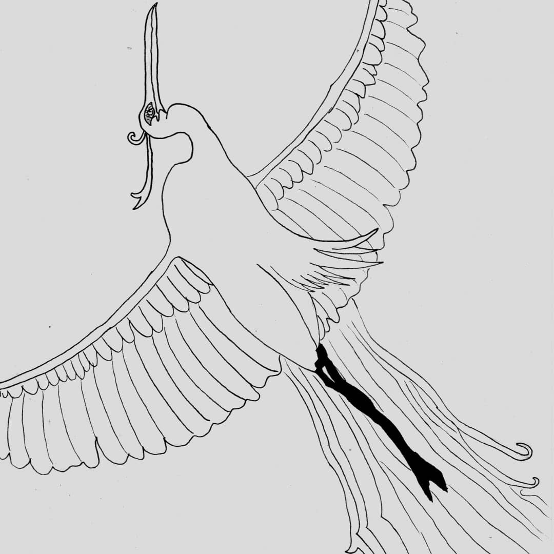 image IMG_20211126_122101_174.jpg (66.6kB)