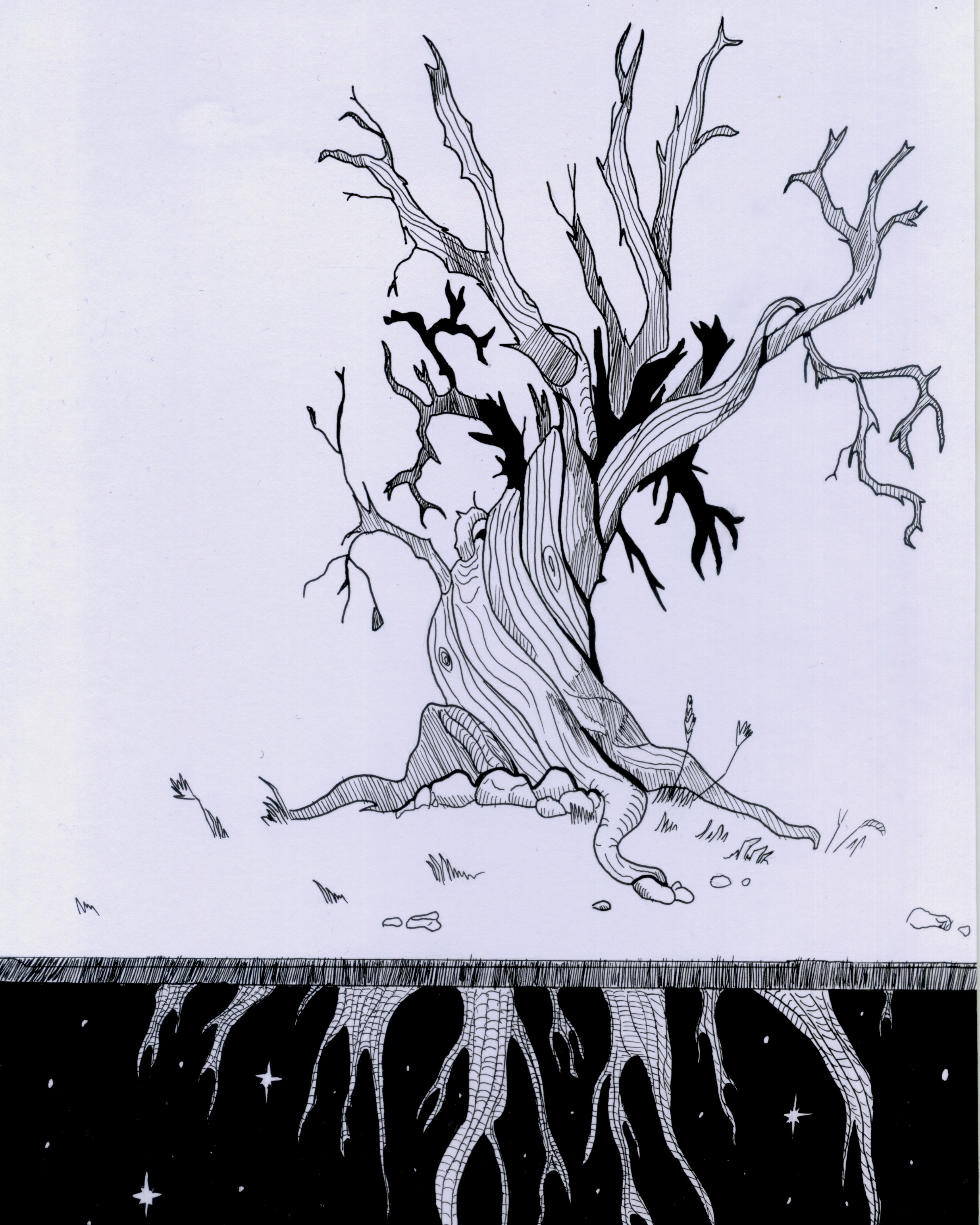 image IMG_20221110_145022_412.jpg (1.4MB)