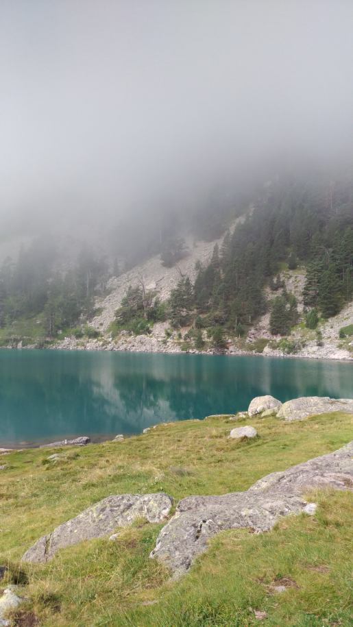 image image00000315.jpg (62.9kB)